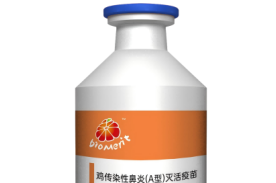 鸡传染性鼻炎(A型)灭活疫苗